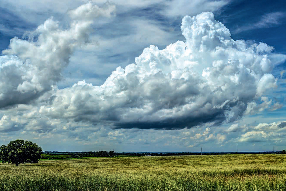 ๐ฑ๐๐๐๐๐ ๐ด๐๐๐ tweet media