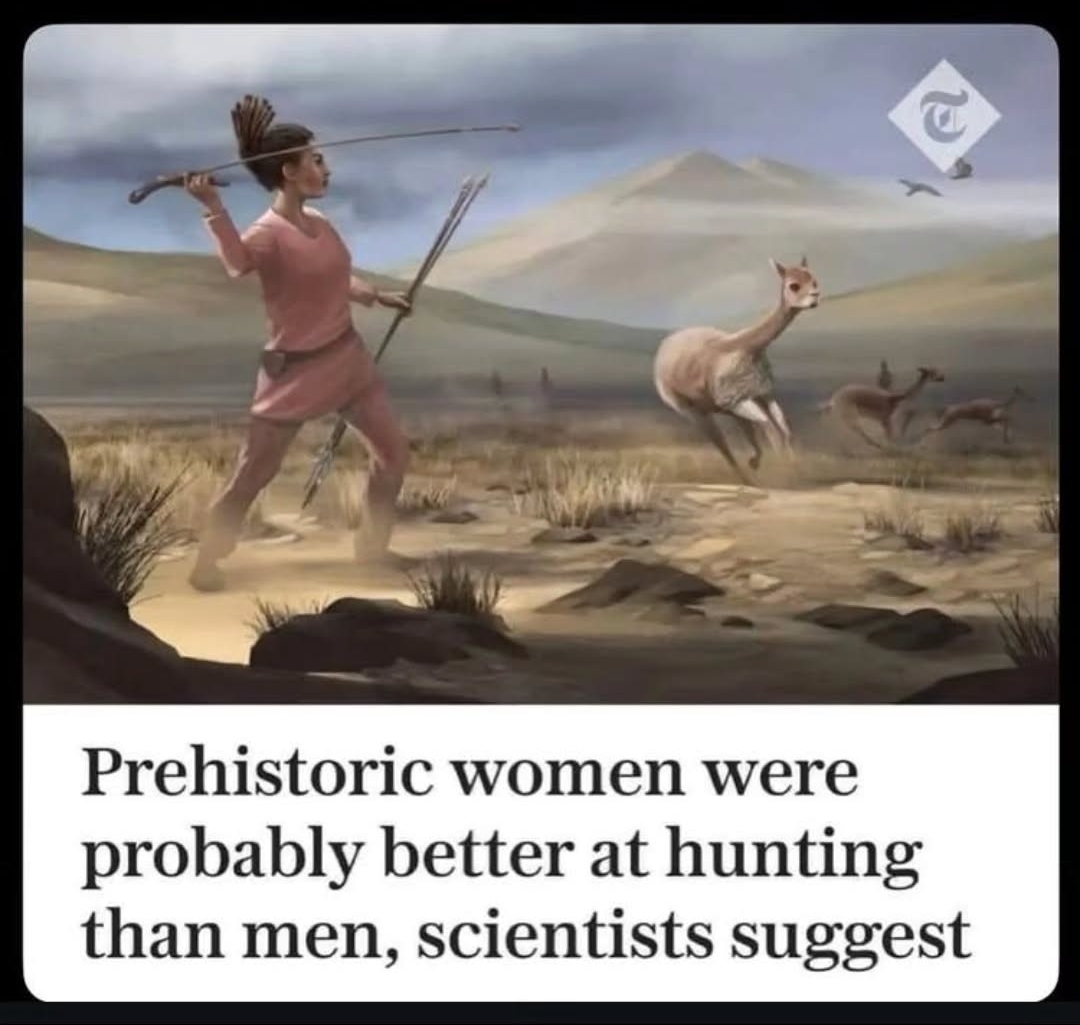 Fight With Memes tweet media