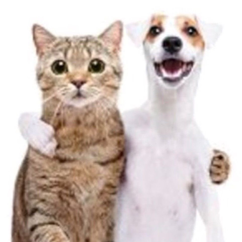 lula /•᷅‎‎•᷄\੭ tweet media