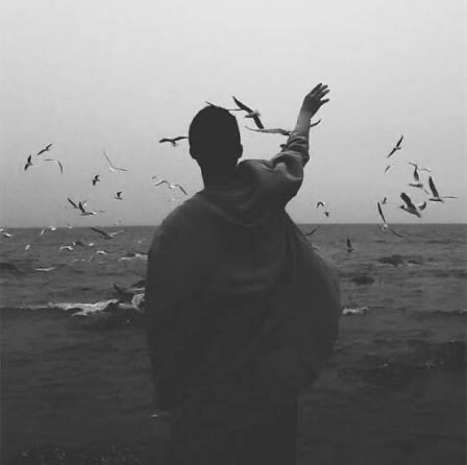 لا باس يالجوف الكتوم و سلامات
فيك اسرفت كفّ الجروح  الكريمه

و اللي يشوف الوجه و الابتسامات
ما يدري ان الصدر  مسرح جريم

شووووووووووووووووف عيني 
#الحشيم 🚶🏻‍♂️