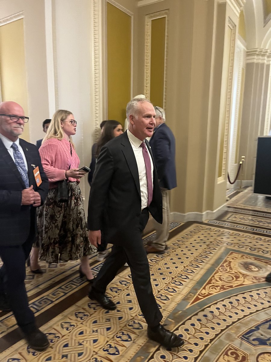 Alex Cameron tweet media