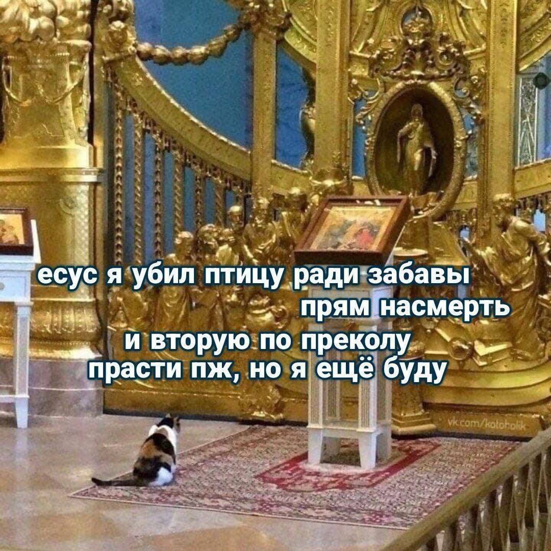 Александр_Россинг tweet media