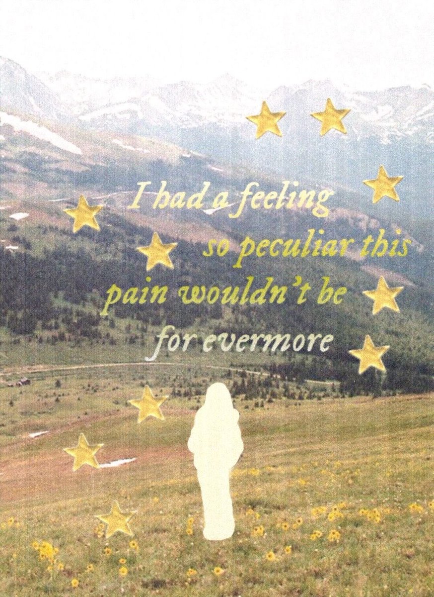 natascha ⸆⸉ tweet media