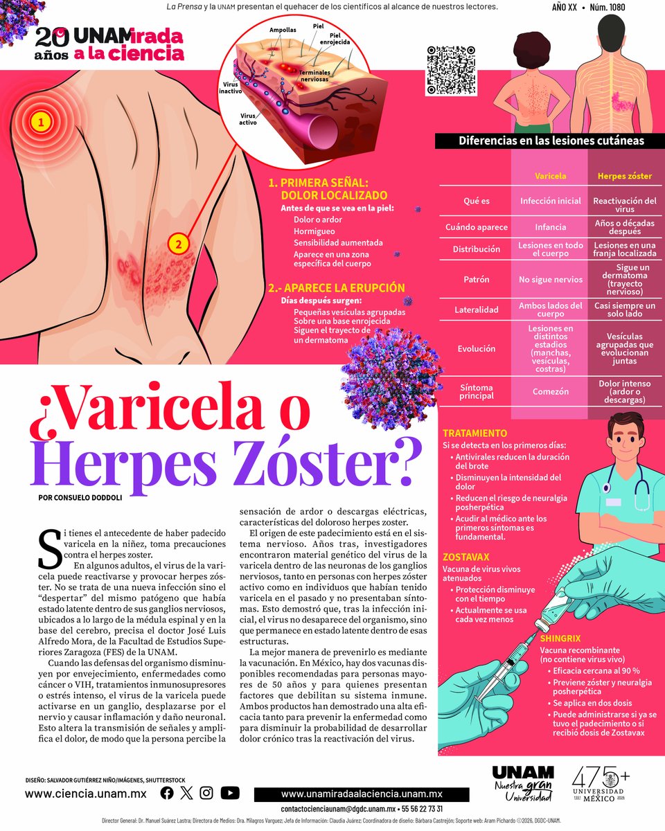 Ciencia UNAM tweet media