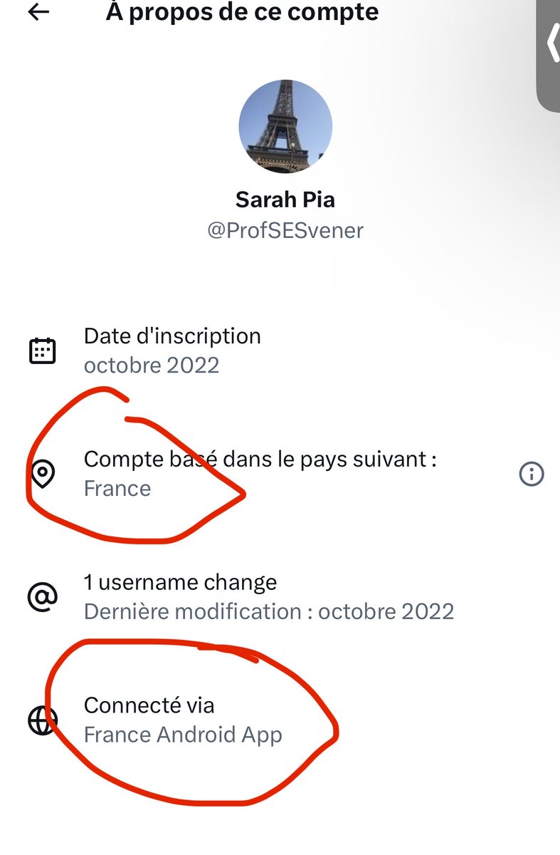 مارية القبطية tweet media