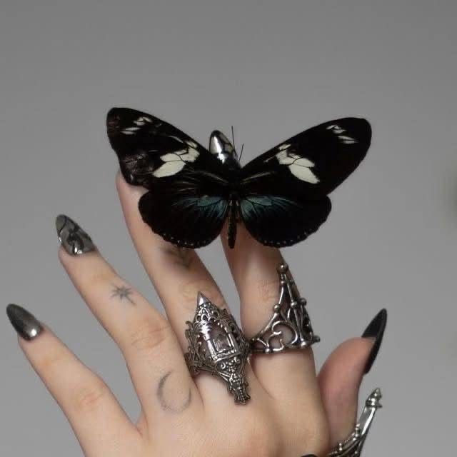 𝕰𝖑𝖊𝖒𝖒𝖎𝖗𝖊 tweet media