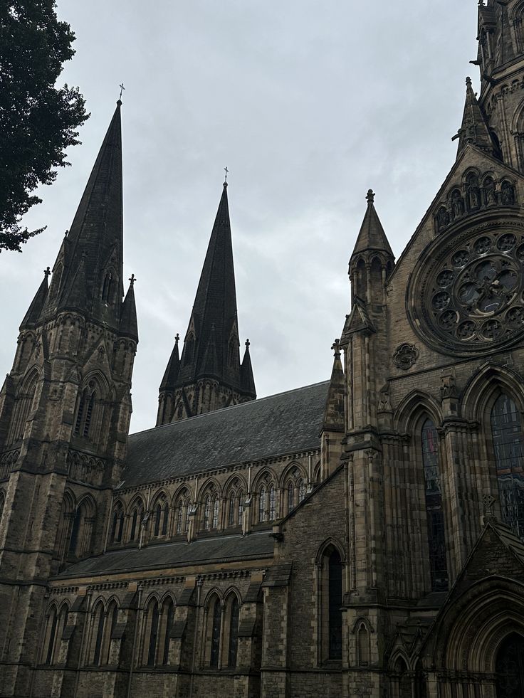 𝕰𝖑𝖊𝖒𝖒𝖎𝖗𝖊 tweet media