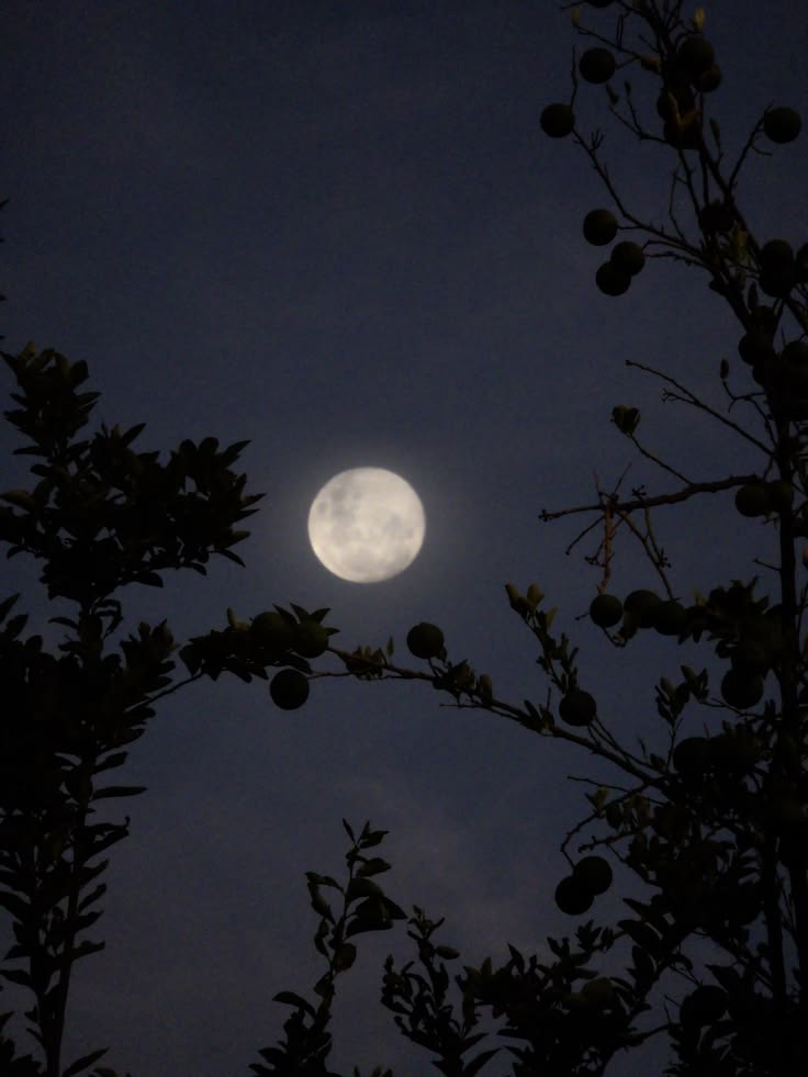 𝕰𝖑𝖊𝖒𝖒𝖎𝖗𝖊 tweet media