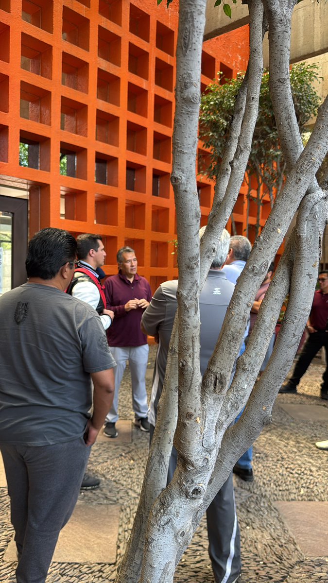 Dany football Rex 🦖🏈 tweet media