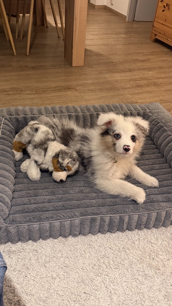 Mila 👩🚀 tweet media