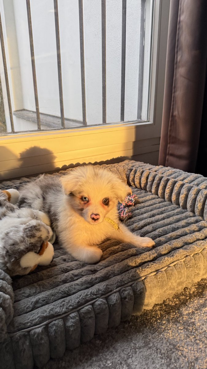 Mila 👩🚀 tweet media