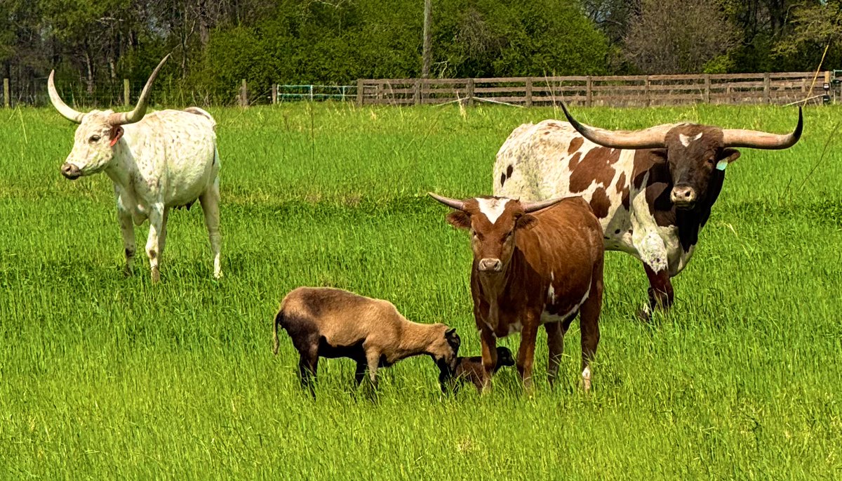 Shawn Hendrix tweet media
