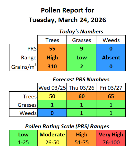 Forsyth County, NC Pollen tweet media