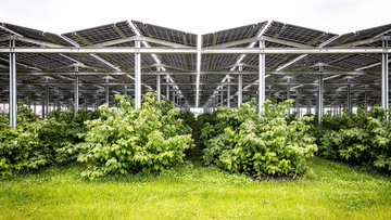 Stoertebembel 🏴‍☠️🇺🇦🇮🇱🏳️‍🌈 tweet media