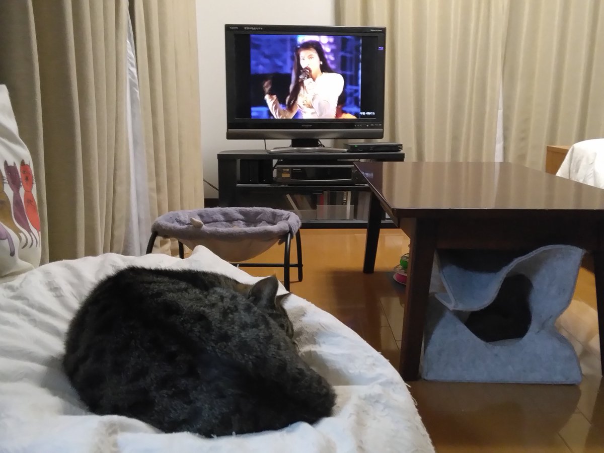 純akaサバイバー tweet media