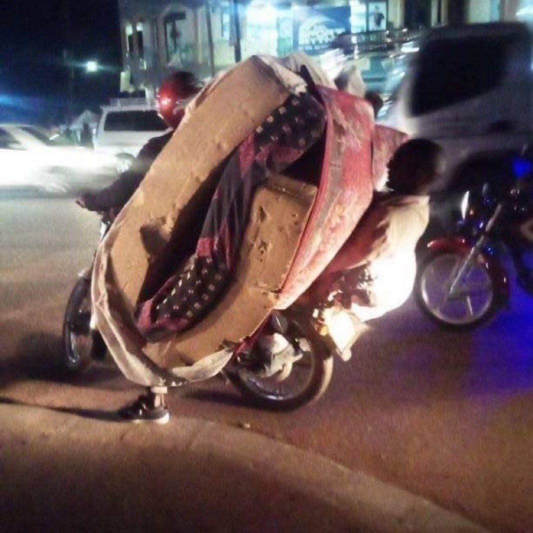 Dóuglas Fir🗽 tweet media