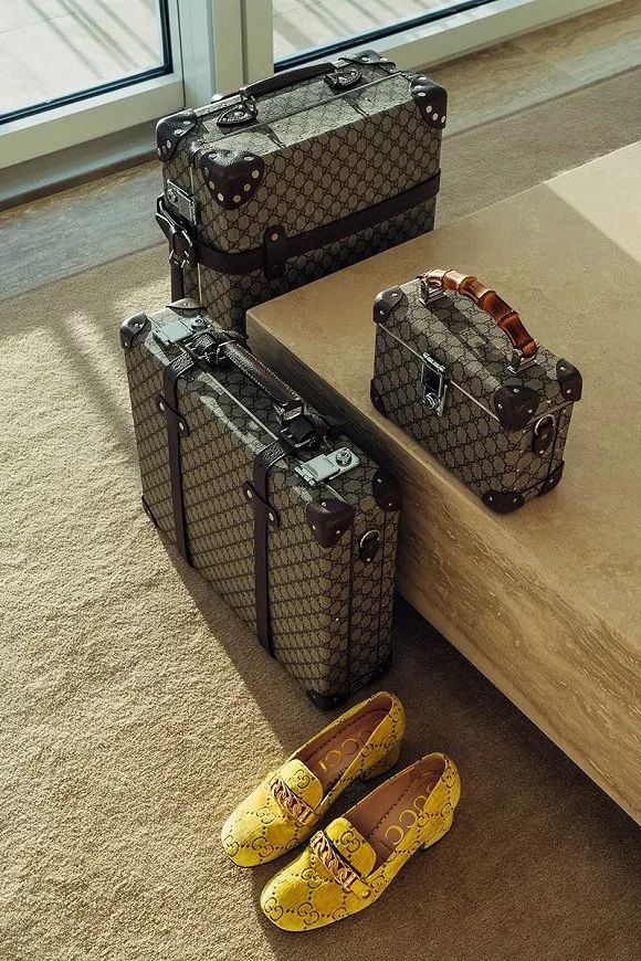 Robert Knight tweet media