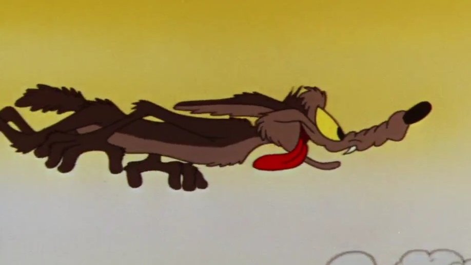 Daily Dose of Wile E. Coyote tweet media