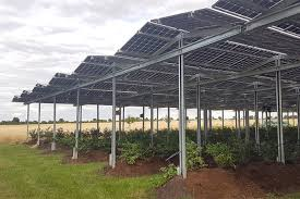 Stoertebembel 🏴‍☠️🇺🇦🇮🇱🏳️‍🌈 tweet media