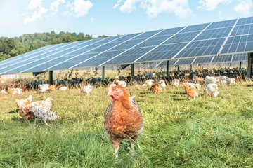 Stoertebembel 🏴‍☠️🇺🇦🇮🇱🏳️‍🌈 tweet media