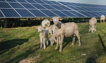 Stoertebembel 🏴‍☠️🇺🇦🇮🇱🏳️‍🌈 tweet media