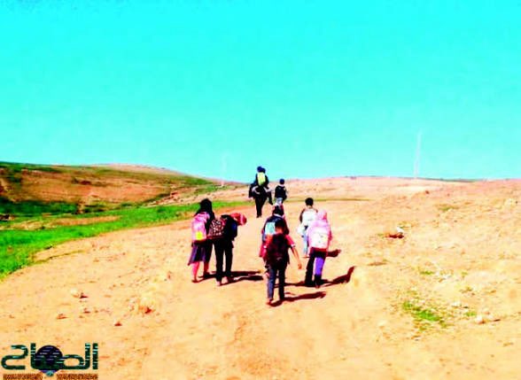 Vastmare tweet media