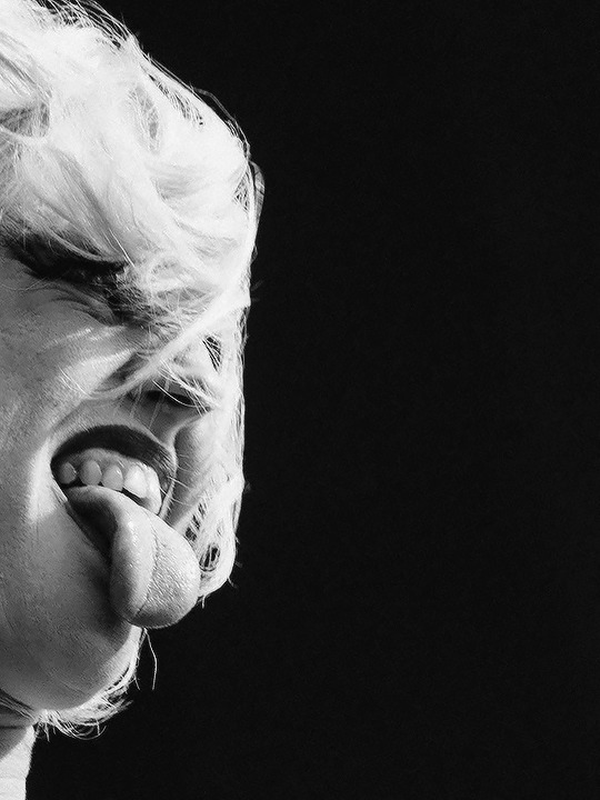 Conraid (Blank) tweet media