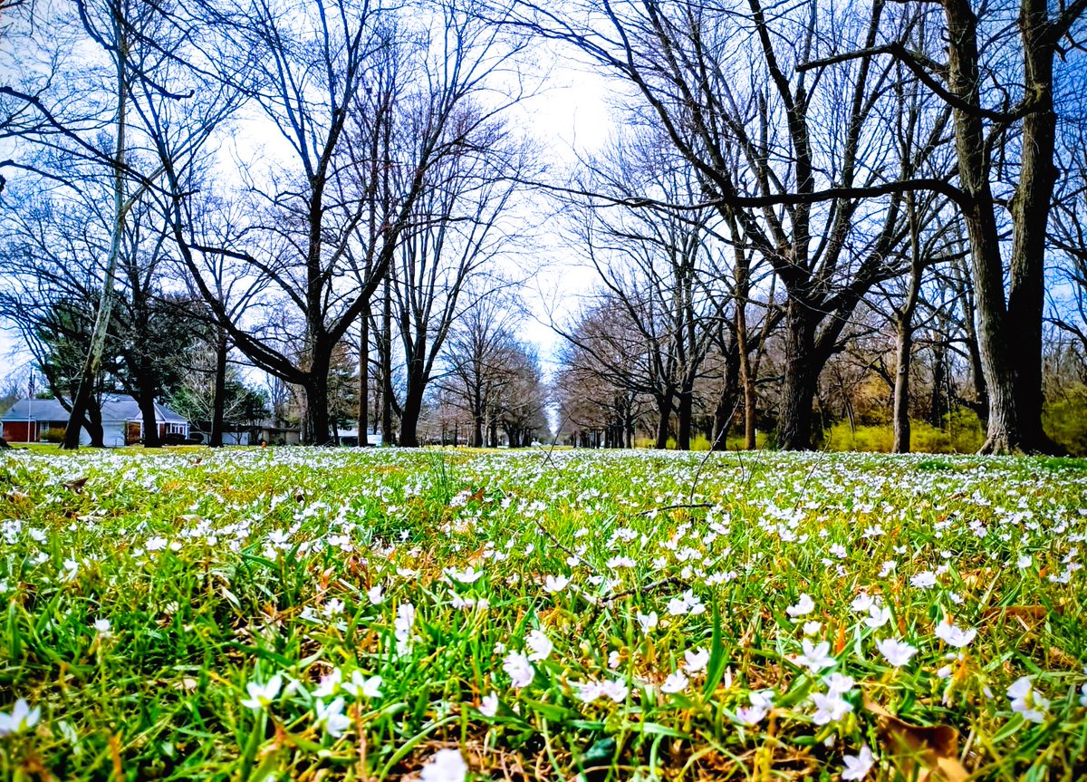 Mark Bennett tweet media