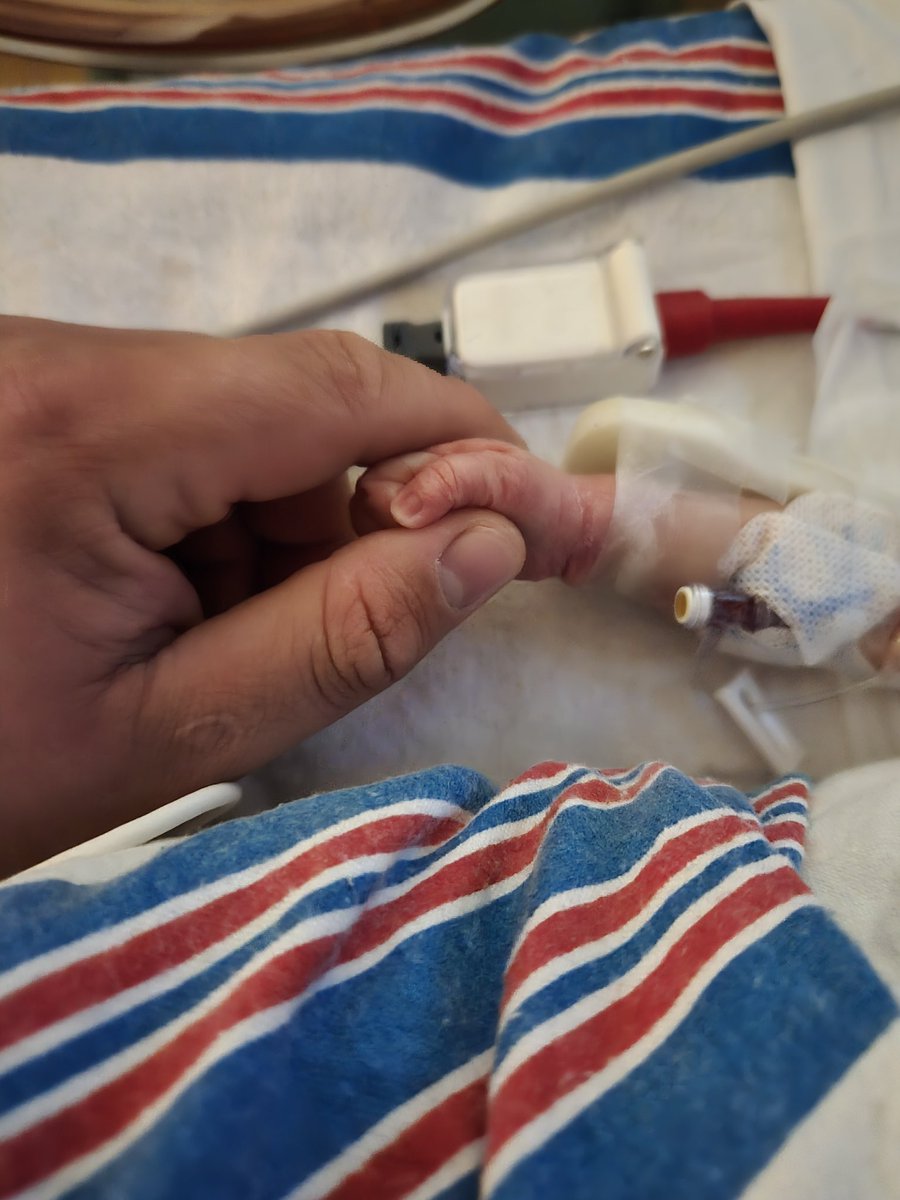 IBCking01 tweet media