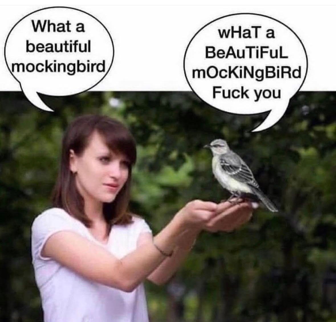 no context memes tweet media