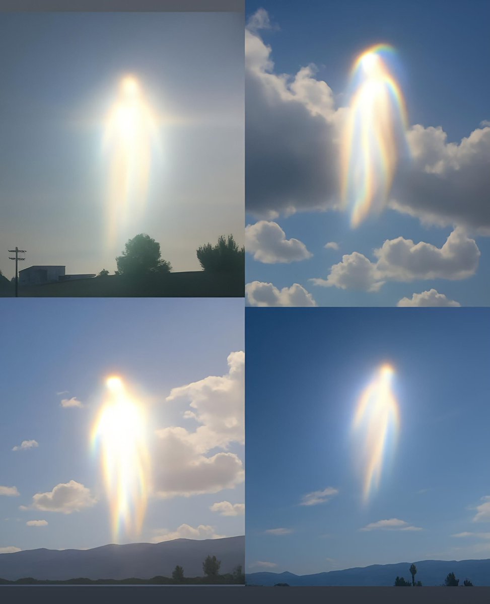 Sıradışı Bilim tweet media