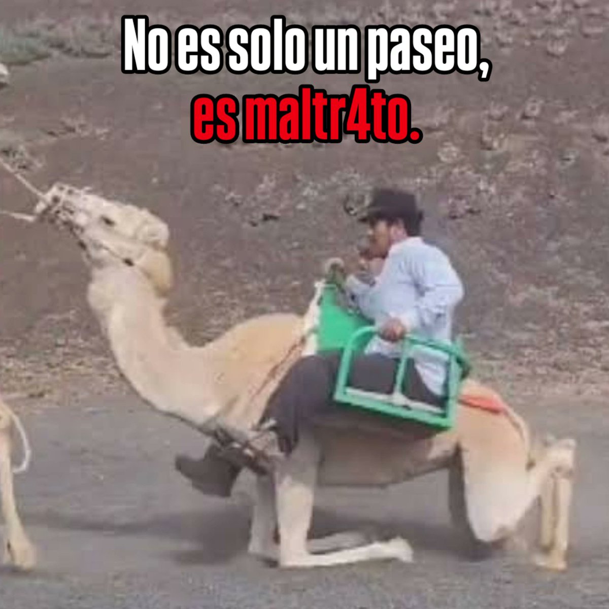 Rubén Pérez tweet media