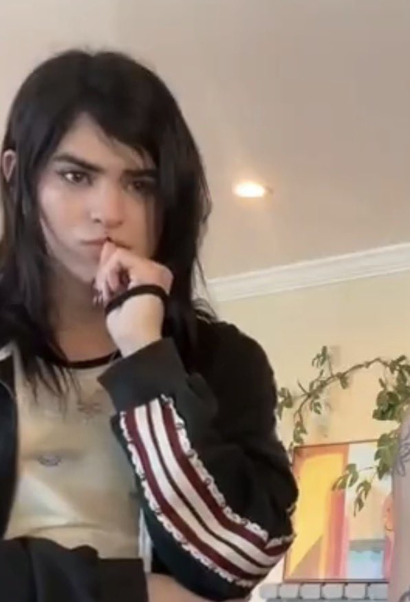 poppy ⭑ tweet media