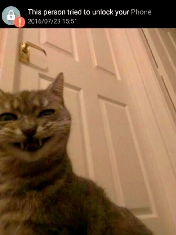 LostTheContext tweet media