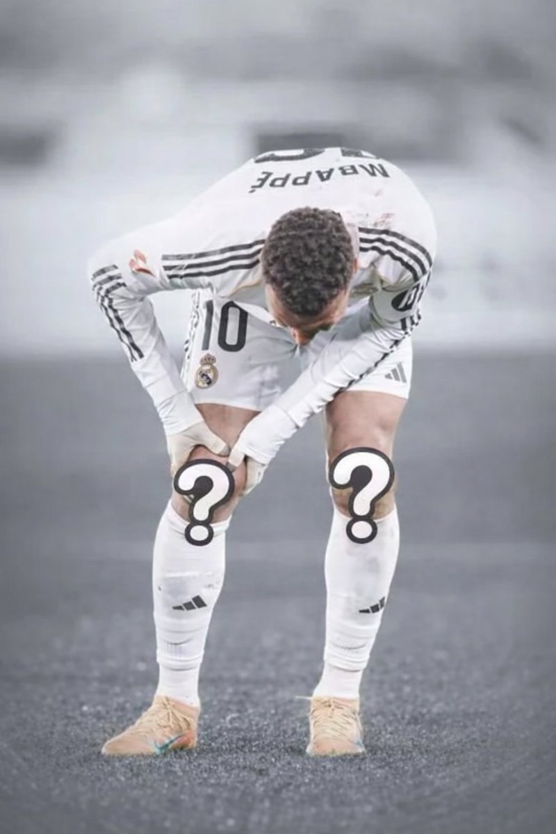 Mr. Wolf tweet media