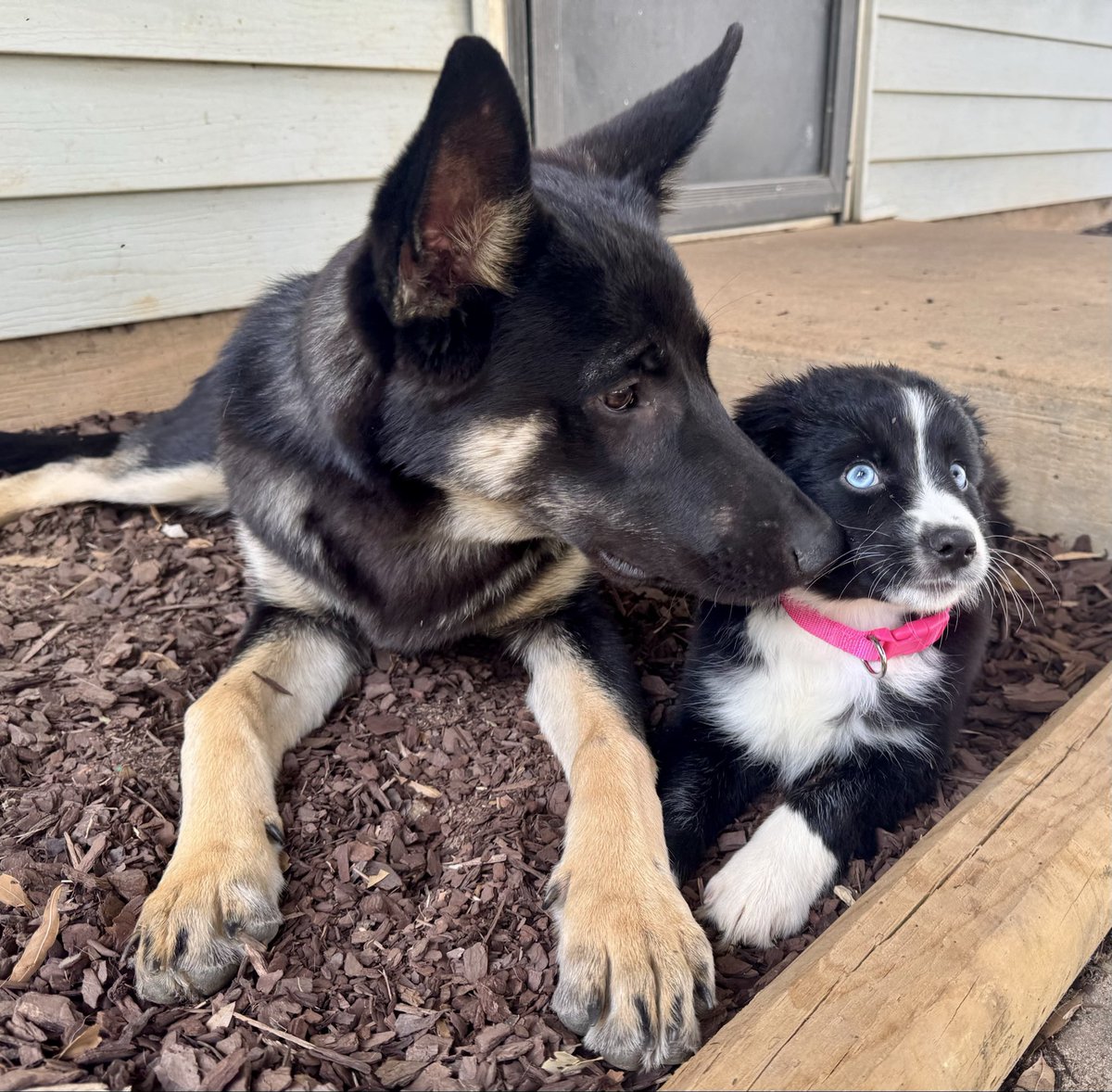 Proof 💎 tweet media