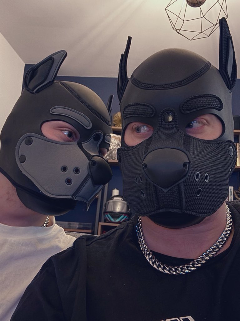 Pup_Comet tweet media