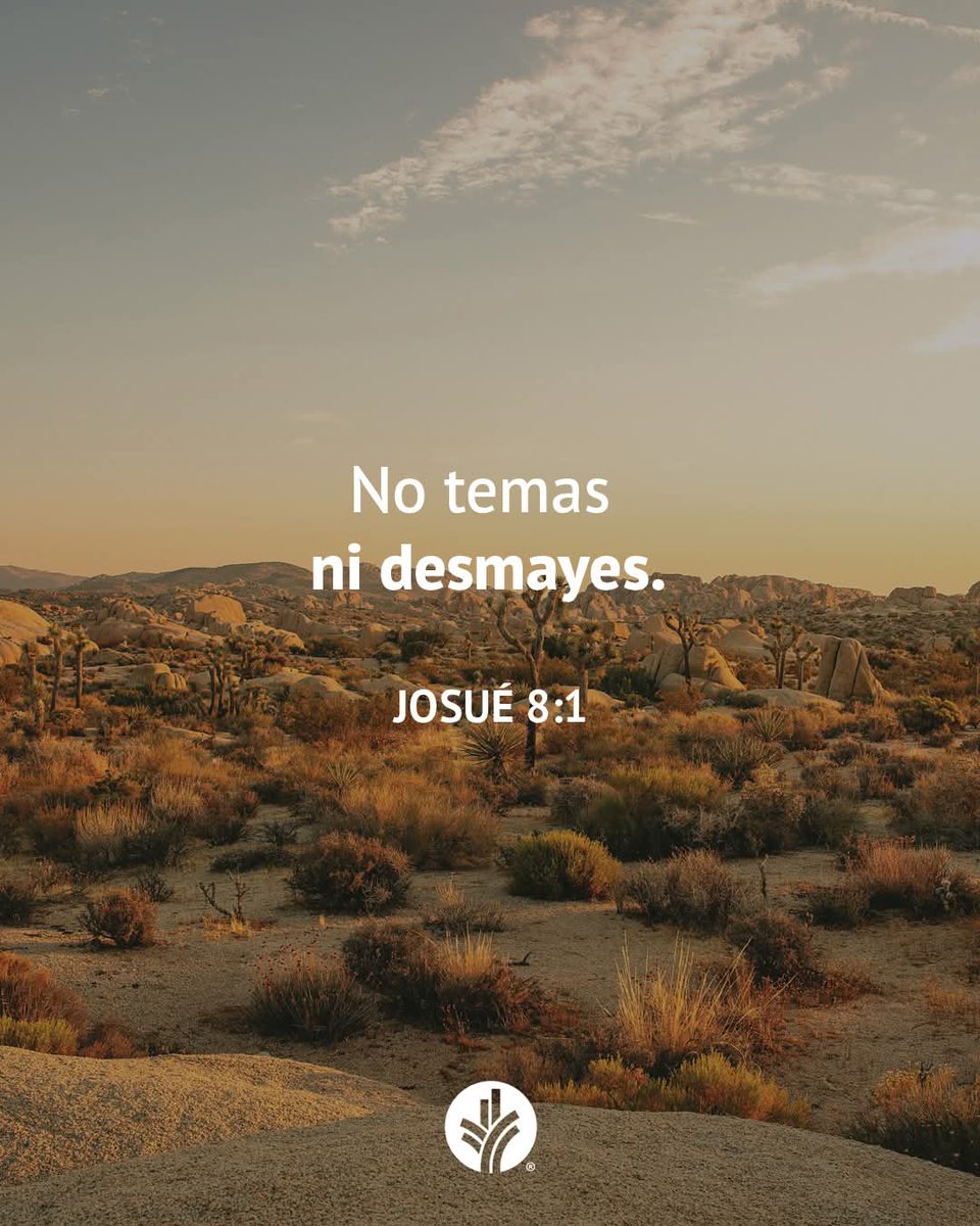 Marco Rodas™👑🇬🇹 tweet media