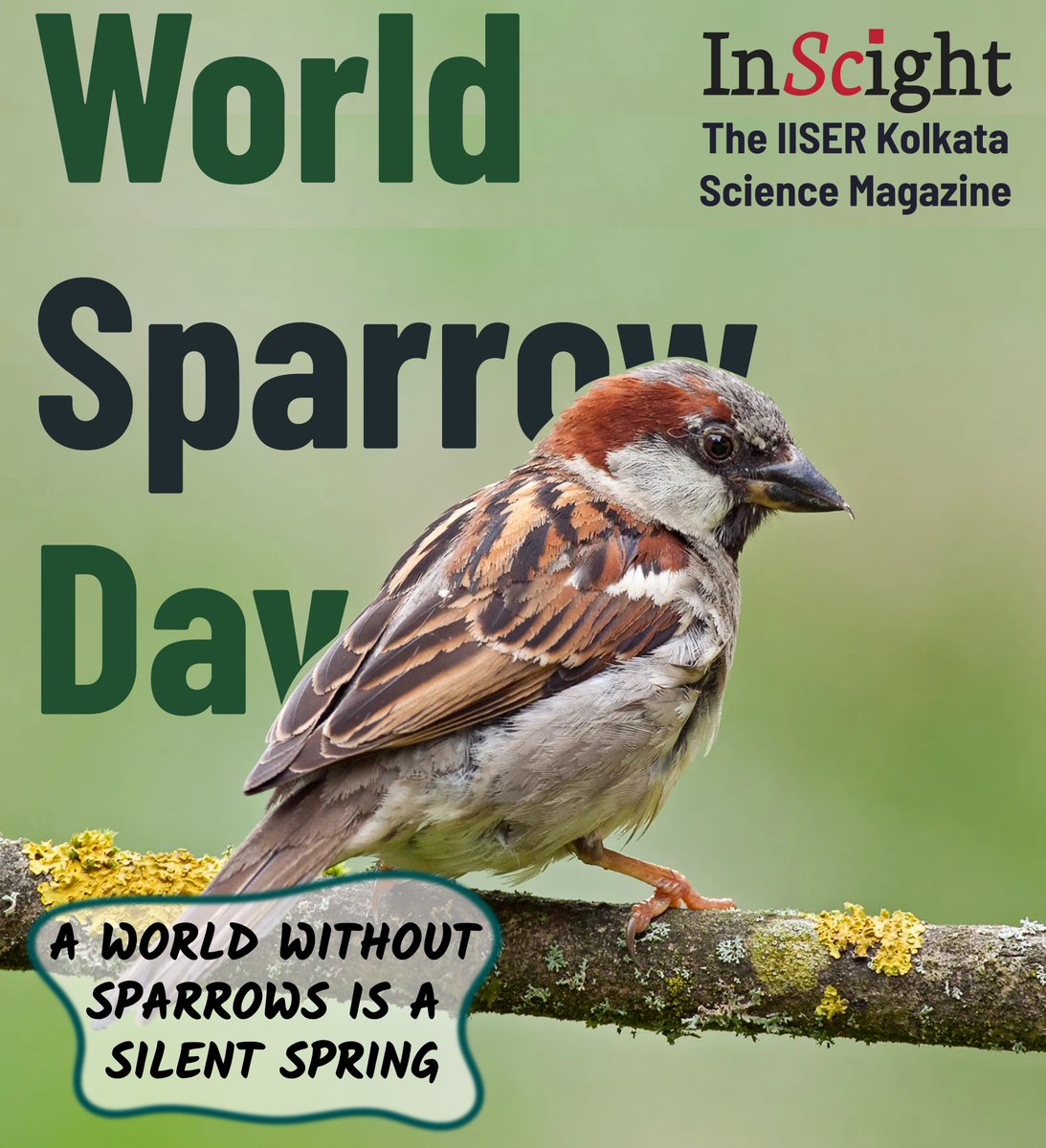 InScight tweet media