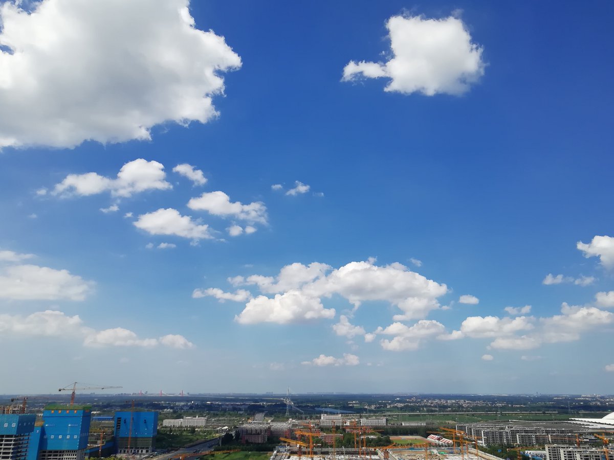 Dan webee tweet media