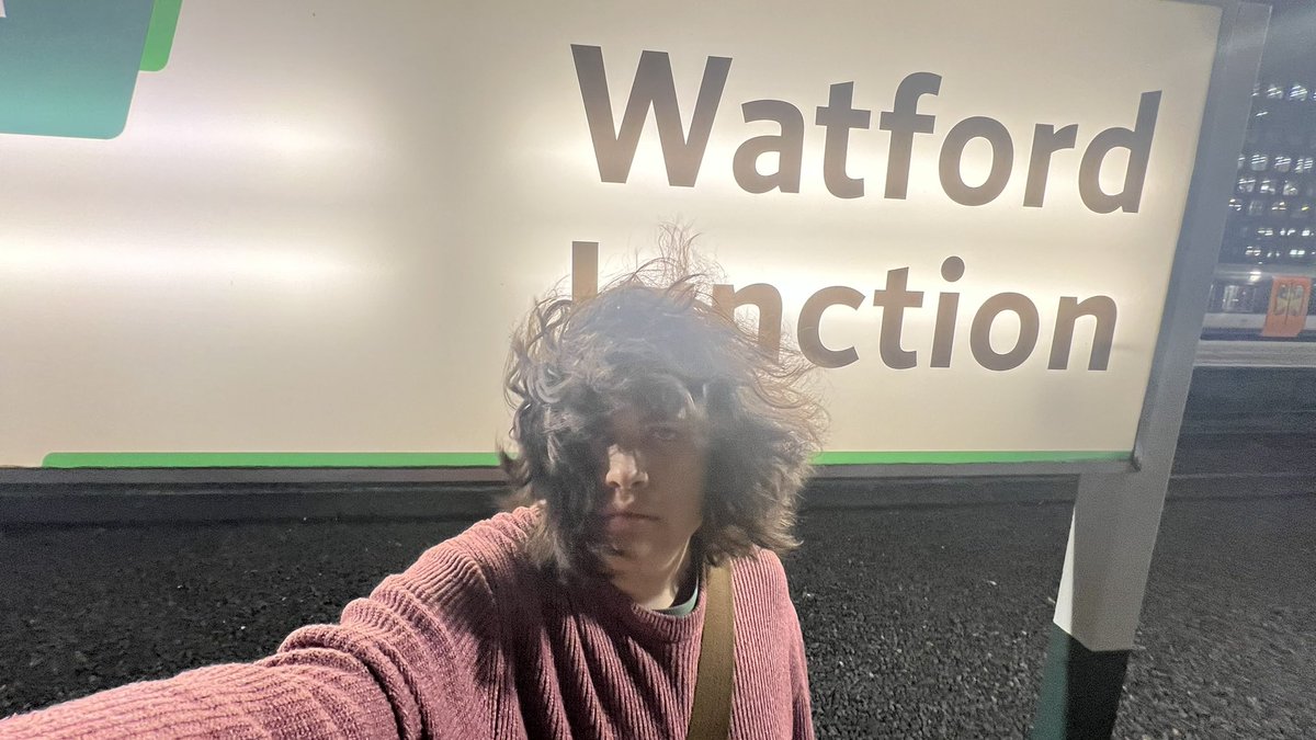 microwave 🐾🦊 tweet media