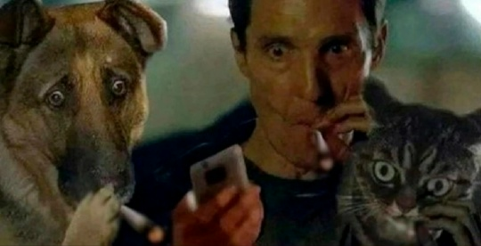 SSJB_Digital_General79 tweet media