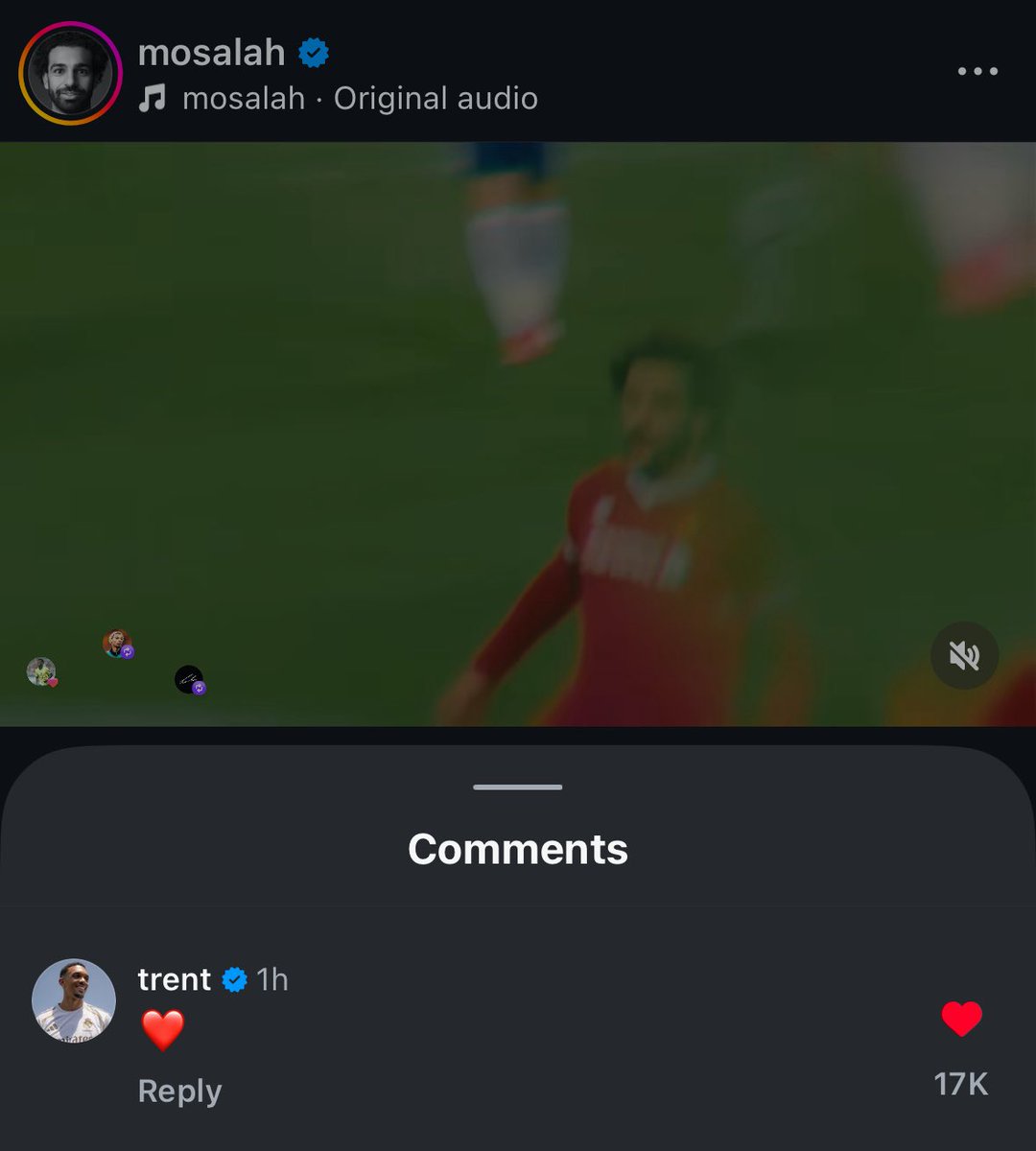 𝐑𝐞𝐱𝐑𝐌𝐂𝐅 tweet media