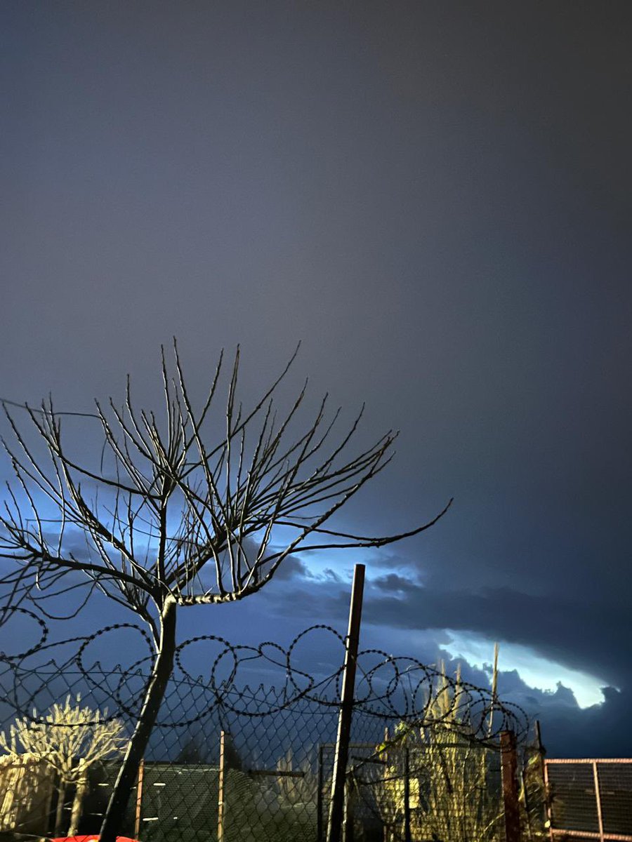 Bassam Al Kantar tweet media