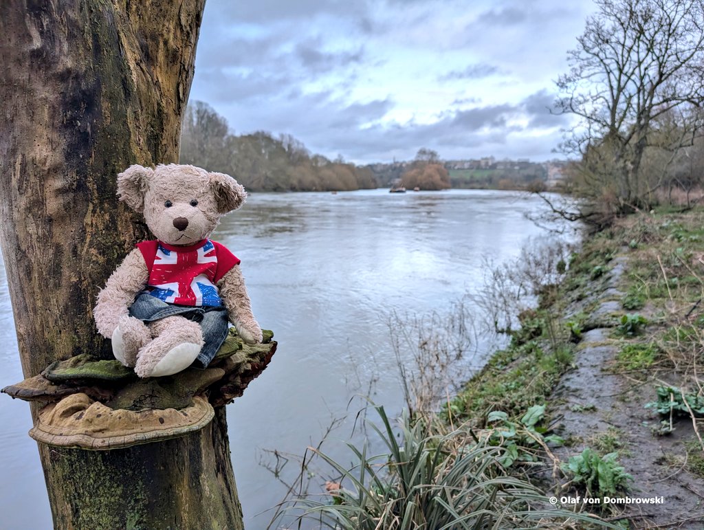 Yes, this is #london 🙃 enjoyed walking along #riverthames last month