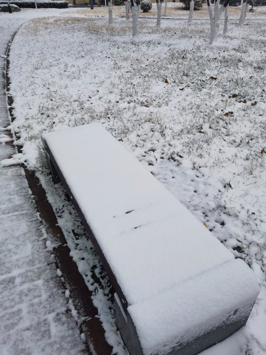 Landon Risher tweet media