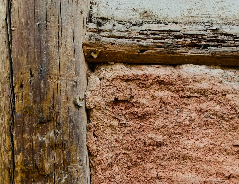 zainab mostafa tweet media