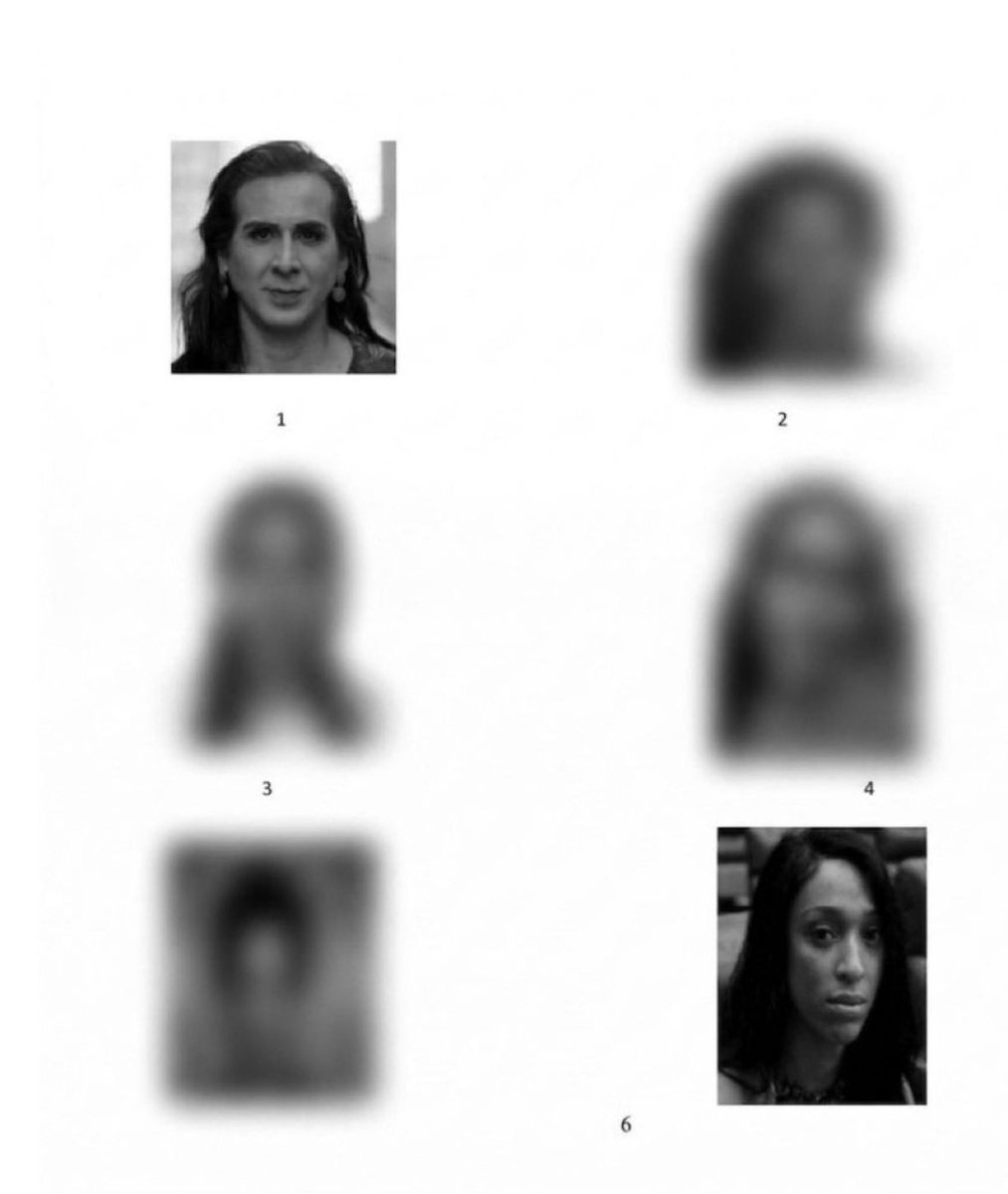 SPACE LIBERDADE  tweet media