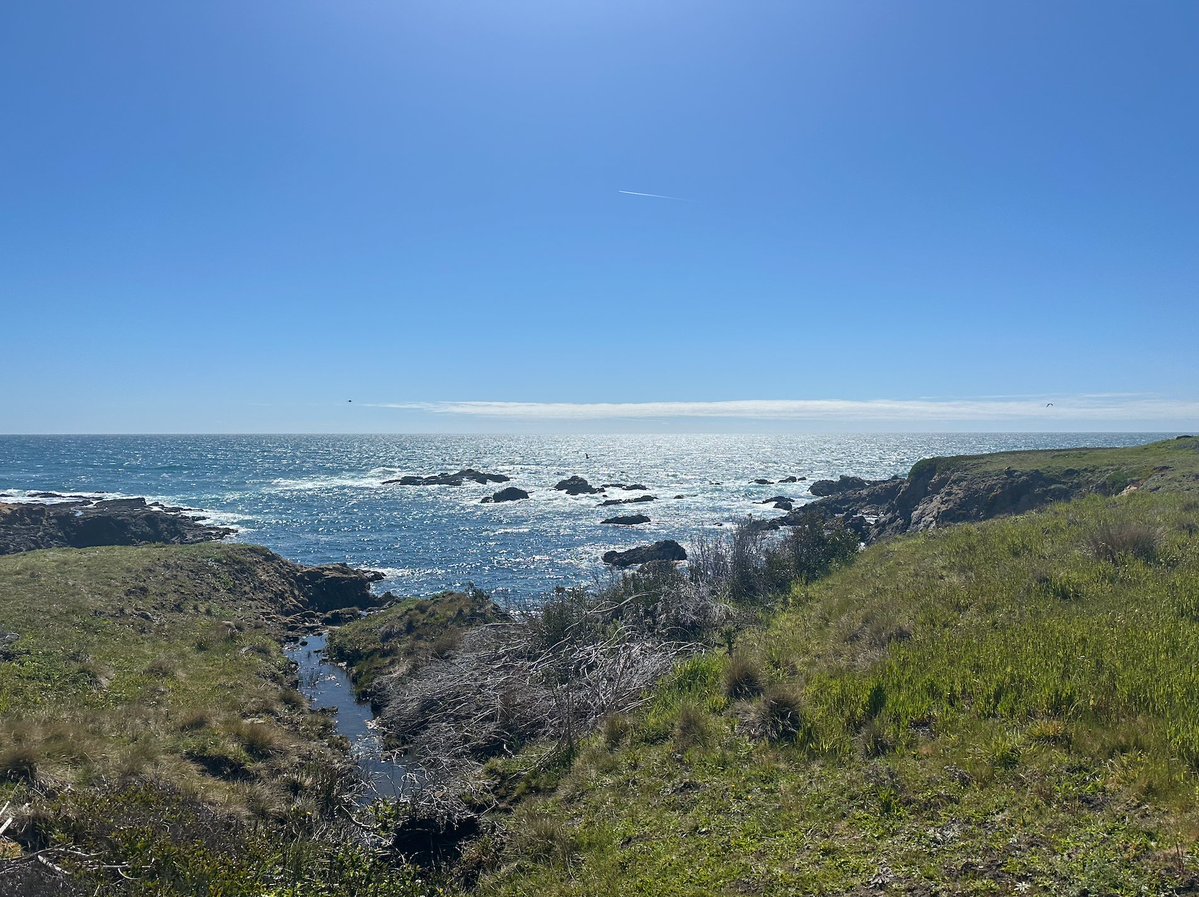 Jonathan Hoenig tweet media