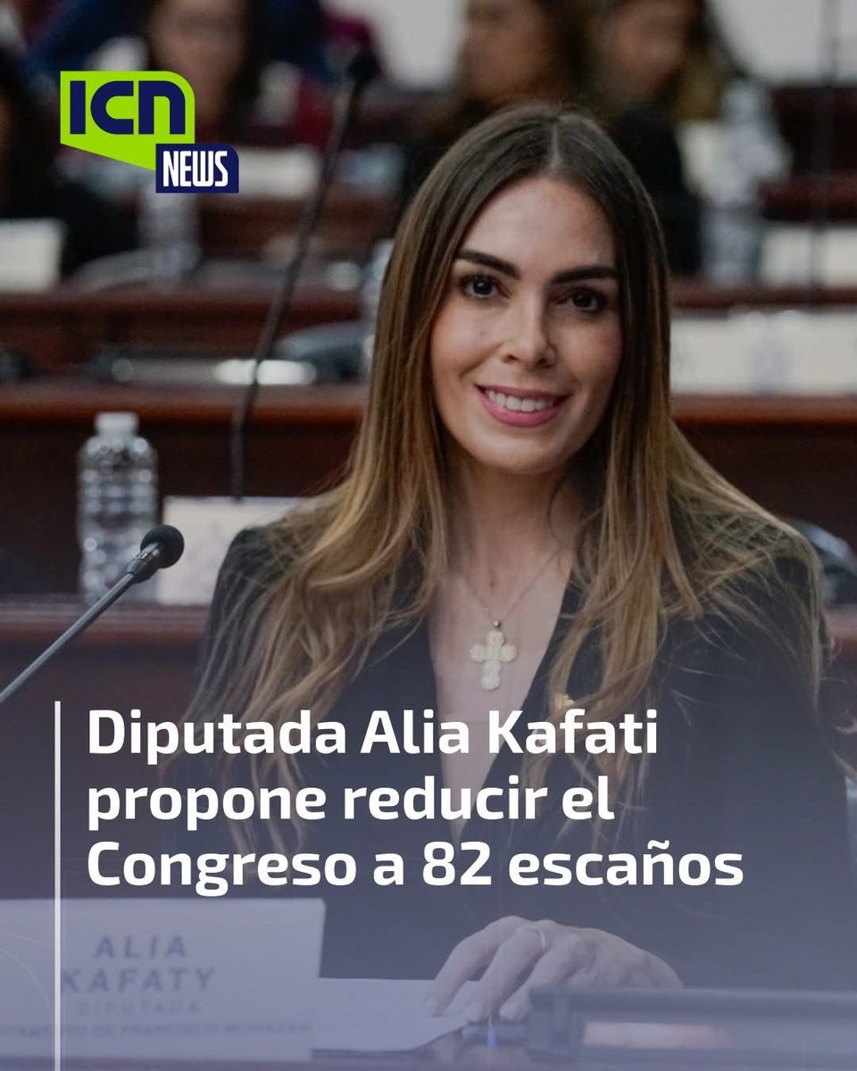 Alia Kafati Diputada tweet media